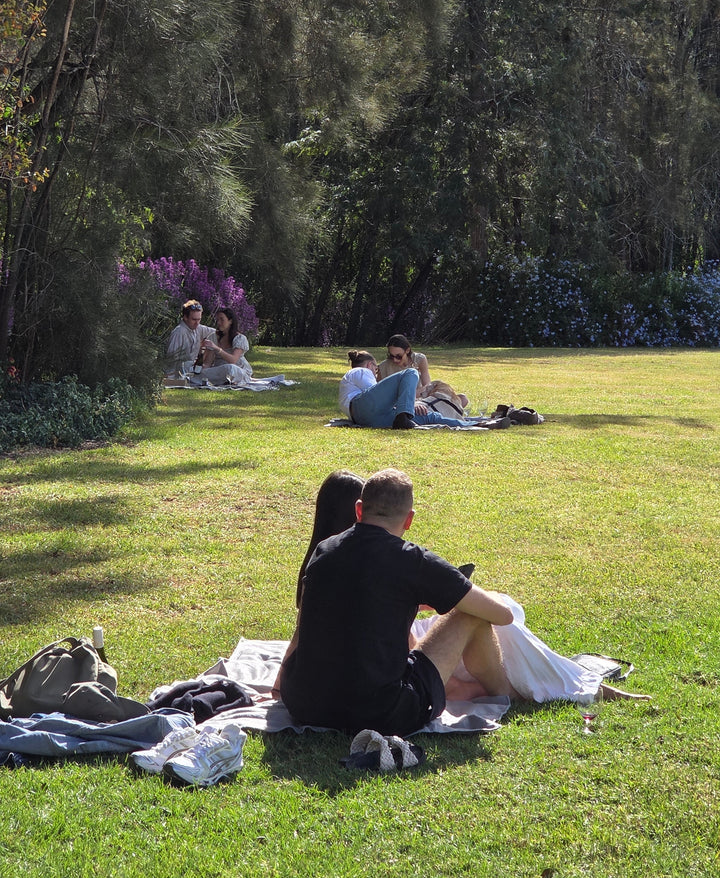 Lawn Session Grazing or Cheese Box